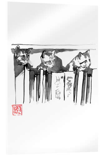 Cuadro de metacrilato Gatos entre libros
