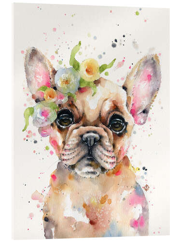 Acrylglas print Little Frenchie