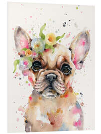 Foam board print Little Frenchie