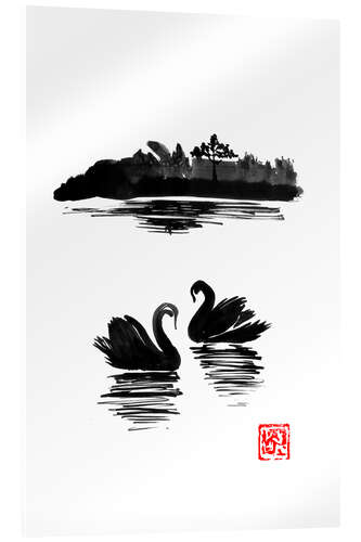 Acrylic print Swans island