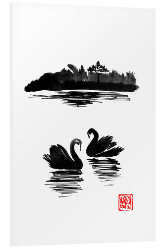 Foam board print Swans island