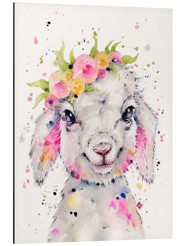 Aluminium print Little Lamb