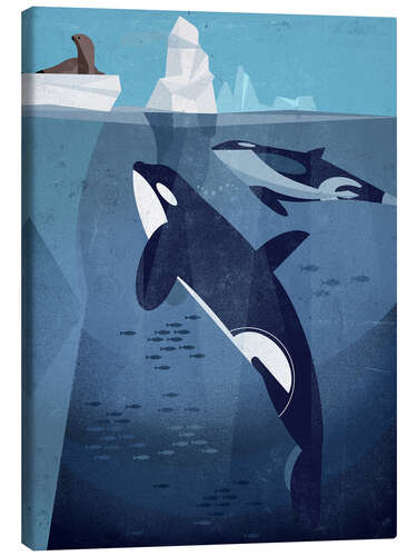 Canvas print Orca