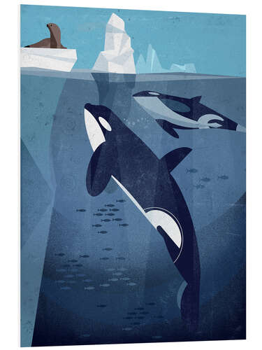 Quadro em PVC Orca