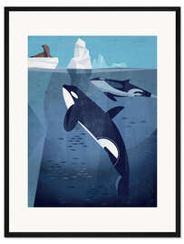 Gerahmter Kunstdruck Orca - Dieter Braun