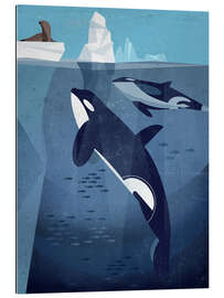 Gallery print Orka