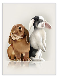 Poster Bunny Love
