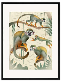 Gerahmter Kunstdruck Totenkopfäffchen