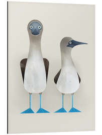 Magnettafel Blaufußtölpel