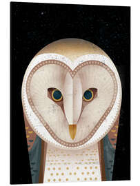 Magnettafel Schleiereule