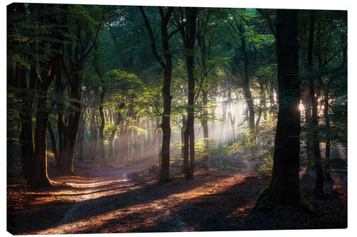 Canvas print Morning beauty