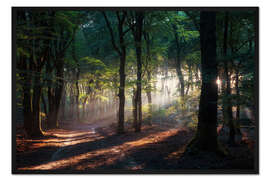 Gerahmter Kunstdruck Morgen Schönheit