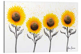 Aluminium print Sunflower Family