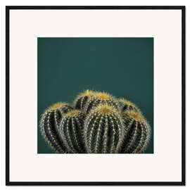 Innrammet kunsttrykk Cacti I