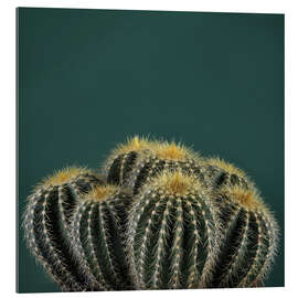 Gallery print Cacti I