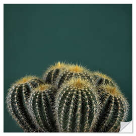 Sisustustarra Cacti I