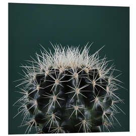 Foam board print Cacti III