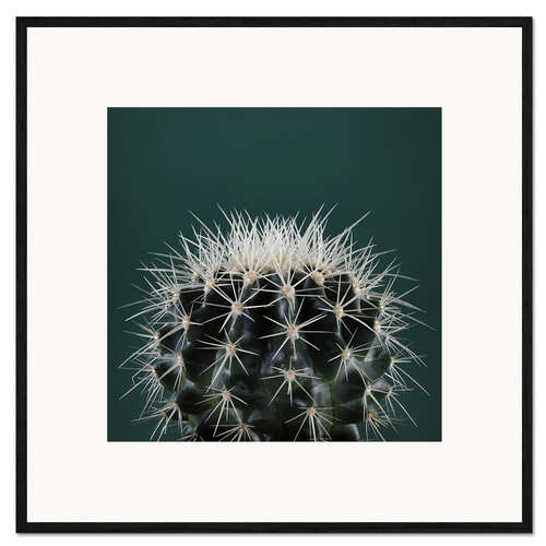 Framed art print Cacti III