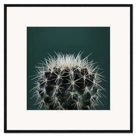 Framed art print Cacti III