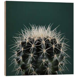 Wood print Cacti III