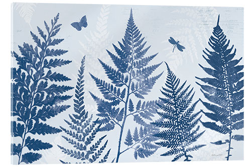 Acrylglas print Blue Fern II