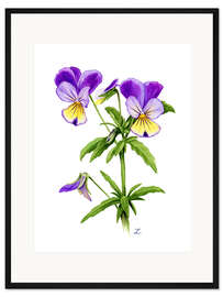 Gerahmter Kunstdruck Wilde Stiefmütterchen