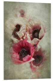 Gallery print Sommermohn