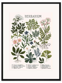 Gerahmter Kunstdruck Herbarium