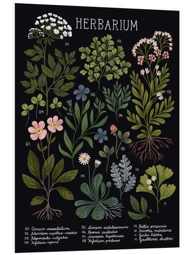 Foam board print Herbarium, Black