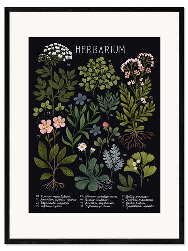 Impresión de arte enmarcada Herbario con fondo negro