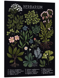 Magnettafel Herbarium, schwarz