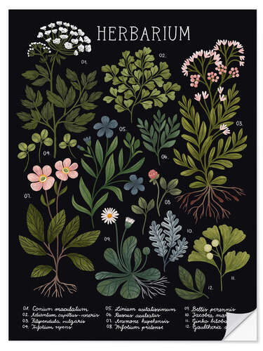 Selvklebende plakat Herbarium, black