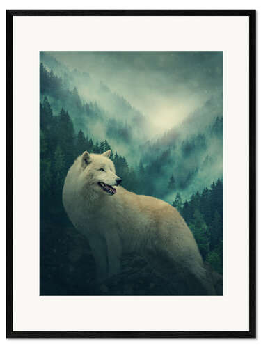 Kehystetty taidepainatus White wolf in the forest
