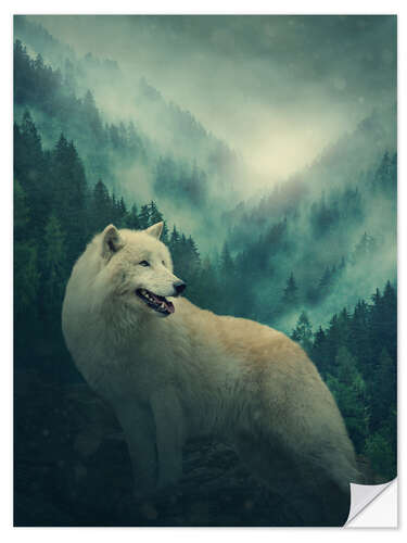 Sisustustarra White wolf in the forest