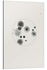 Magnettafel Leben unter dem Mikroskop