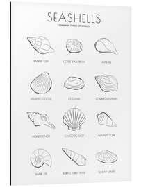 Aluminium print Seashells Guide