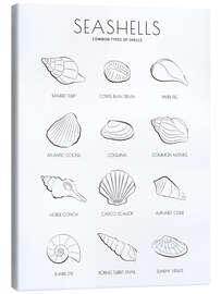 Canvas print Seashells Guide