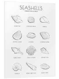 Foam board print Seashells Guide