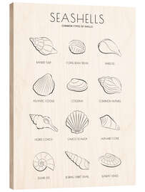 Hout print Seashells Guide