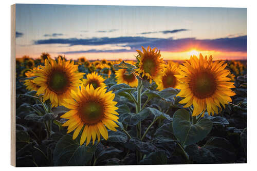 Holzbild Sonnenblumen