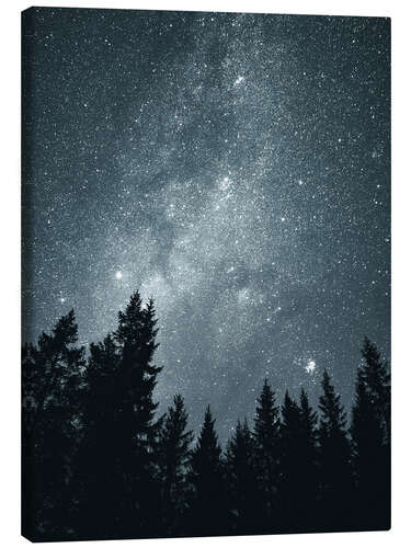 Canvas print Starry sky above the treetops