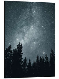 Magnettafel Sternenhimmel über den Baumkronen