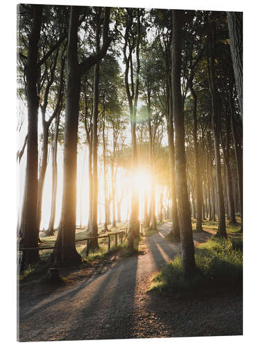 Acrylic print Sunrise in the ghost forest