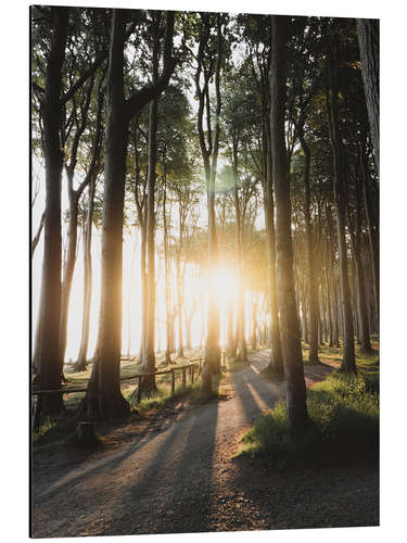 Cuadro de aluminio Amanecer en el bosque fantasma