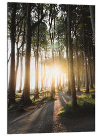 Gallery print Sunrise in the ghost forest