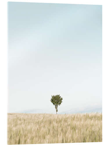 Acrylic print Single tree in the field