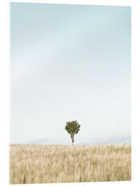 Acrylglasbild Einzelner Baum im Feld