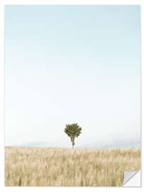 Wandsticker Einzelner Baum im Feld