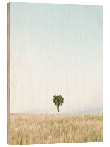 Tableau en bois Arbre isolé dans un champs