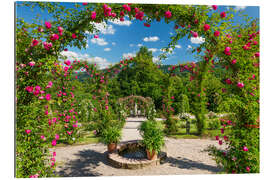 Gallery Print Rosengarten im Sommer